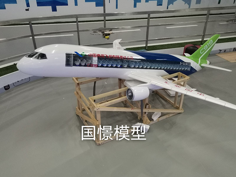 交城县飞机模型